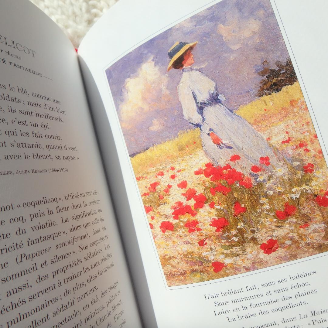 Le Langage des Fleaurs Sauvages　花言葉　仏語洋書
