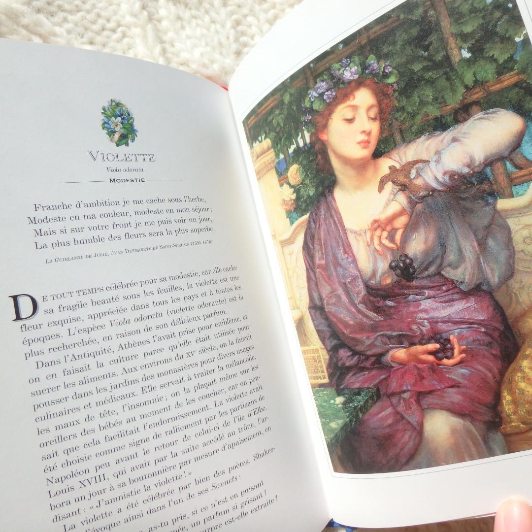 Le Langage des Fleaurs Sauvages　花言葉　仏語洋書
