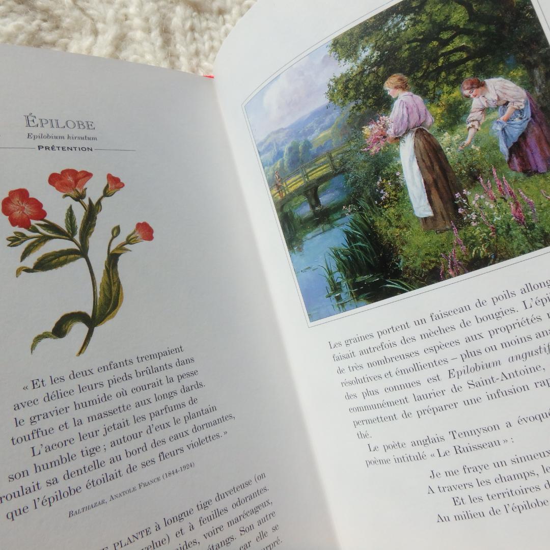 Le Langage des Fleaurs Sauvages　花言葉　仏語洋書