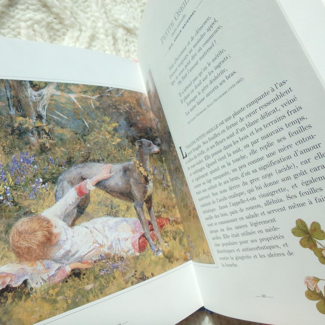 Le Langage des Fleaurs Sauvages　花言葉　仏語洋書