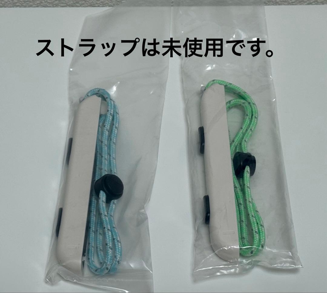 Nintendo switchあつまれどうぶつの森 セット