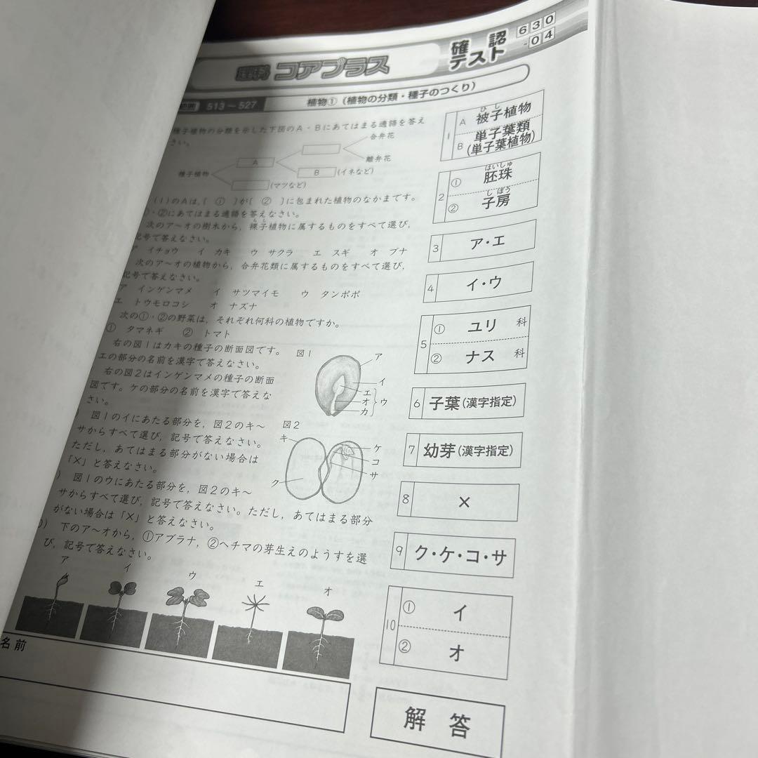 ② SAPIX サピックス　6年　理科　コアプラス　ポイントチェックまとめ