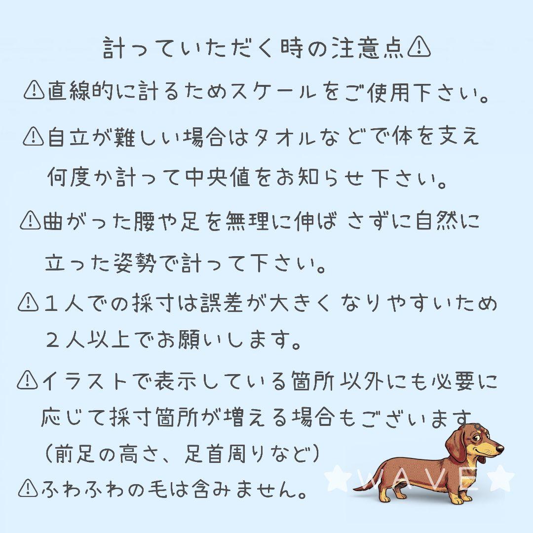rouken.seta　犬用車椅子　犬の歩行器　歩行補助　犬の車いす