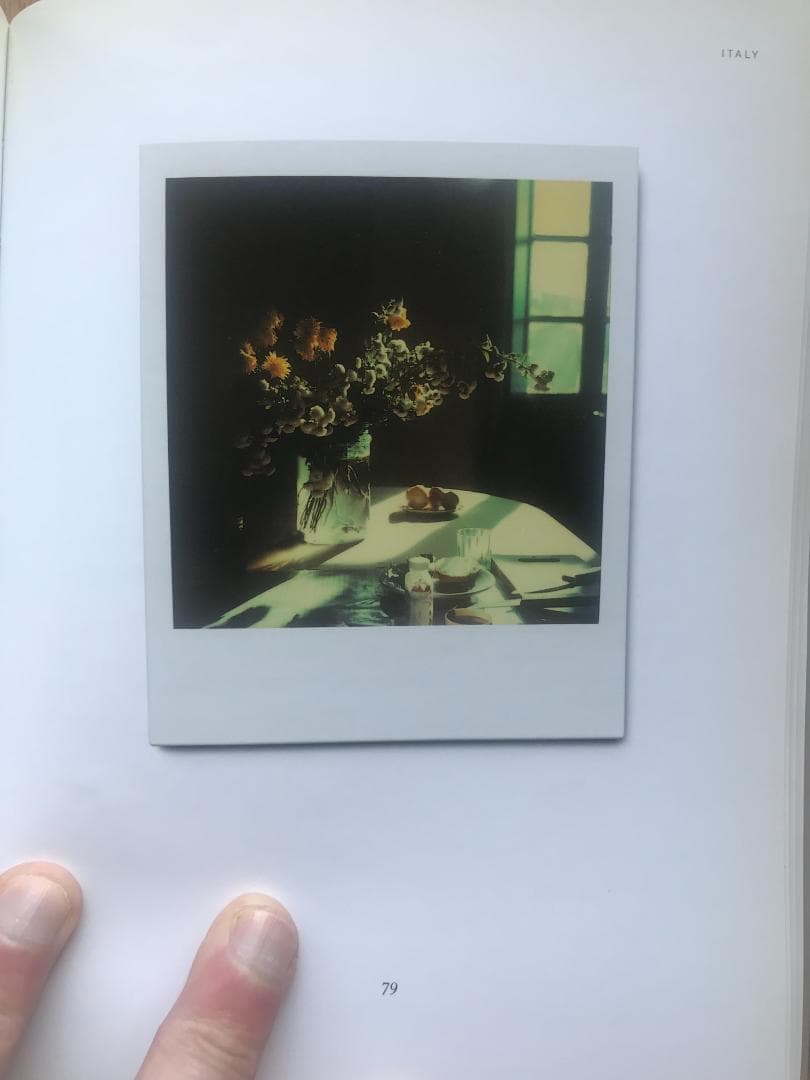 アート・デザイン・音楽 Instant Light: Tarkovsky Polaroids