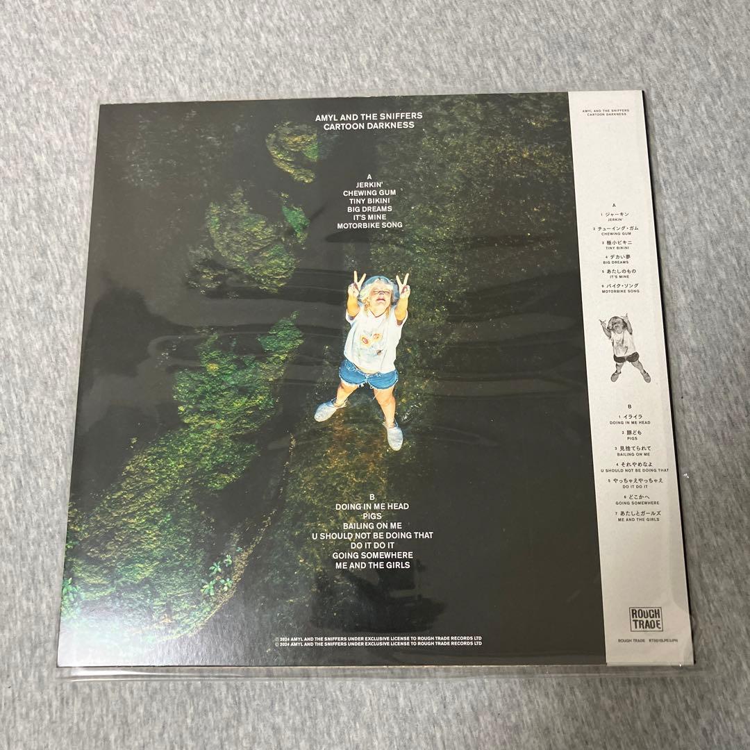 洋楽 AMYL AND SNIFFERS/CARTOON DARKNESS LP