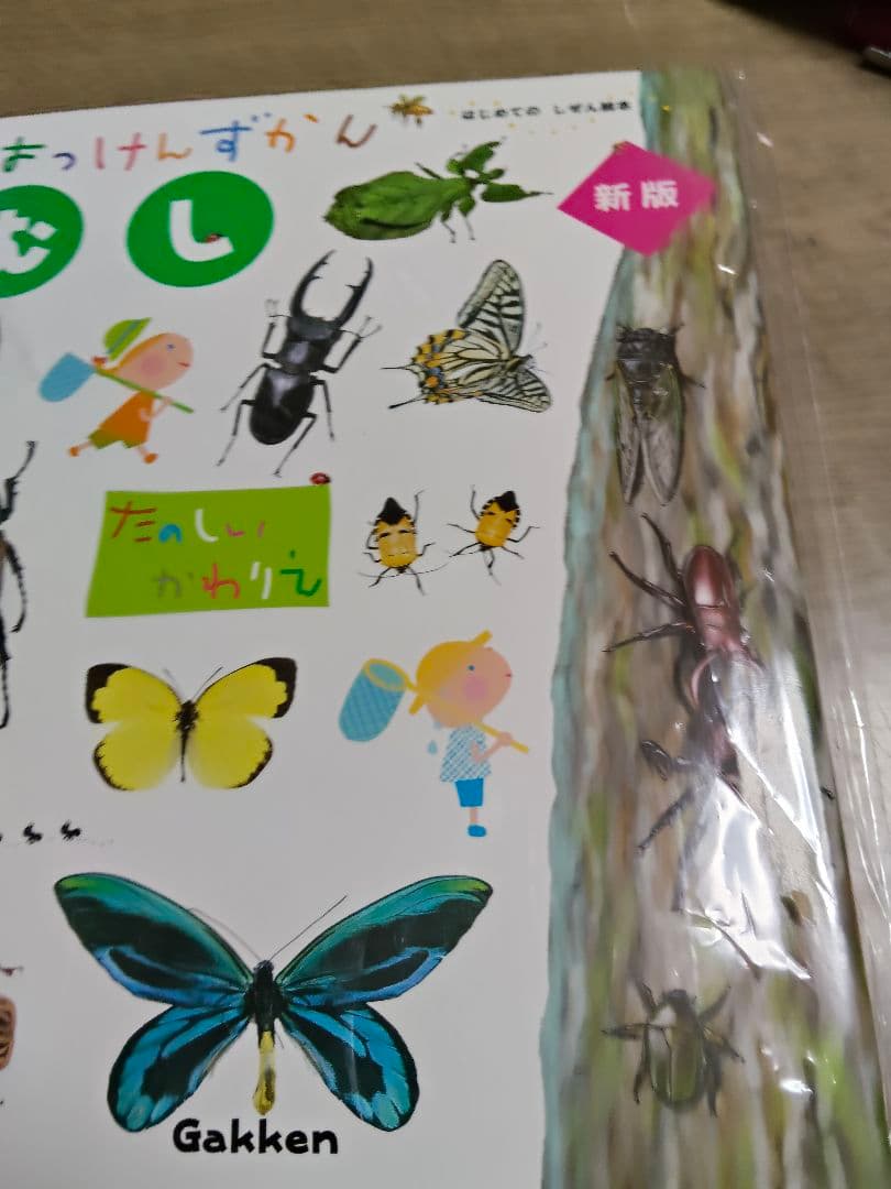 SAsasaはっけんずかんシリーズ 絵本と他図鑑セット10冊