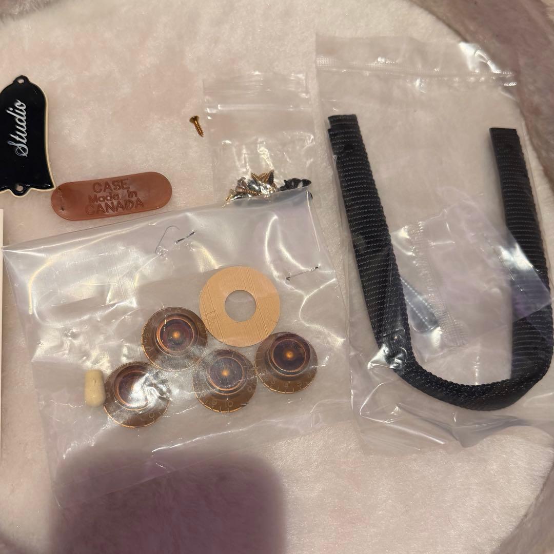 送料込Gibson Les Paul Studio Plemium カスタム
