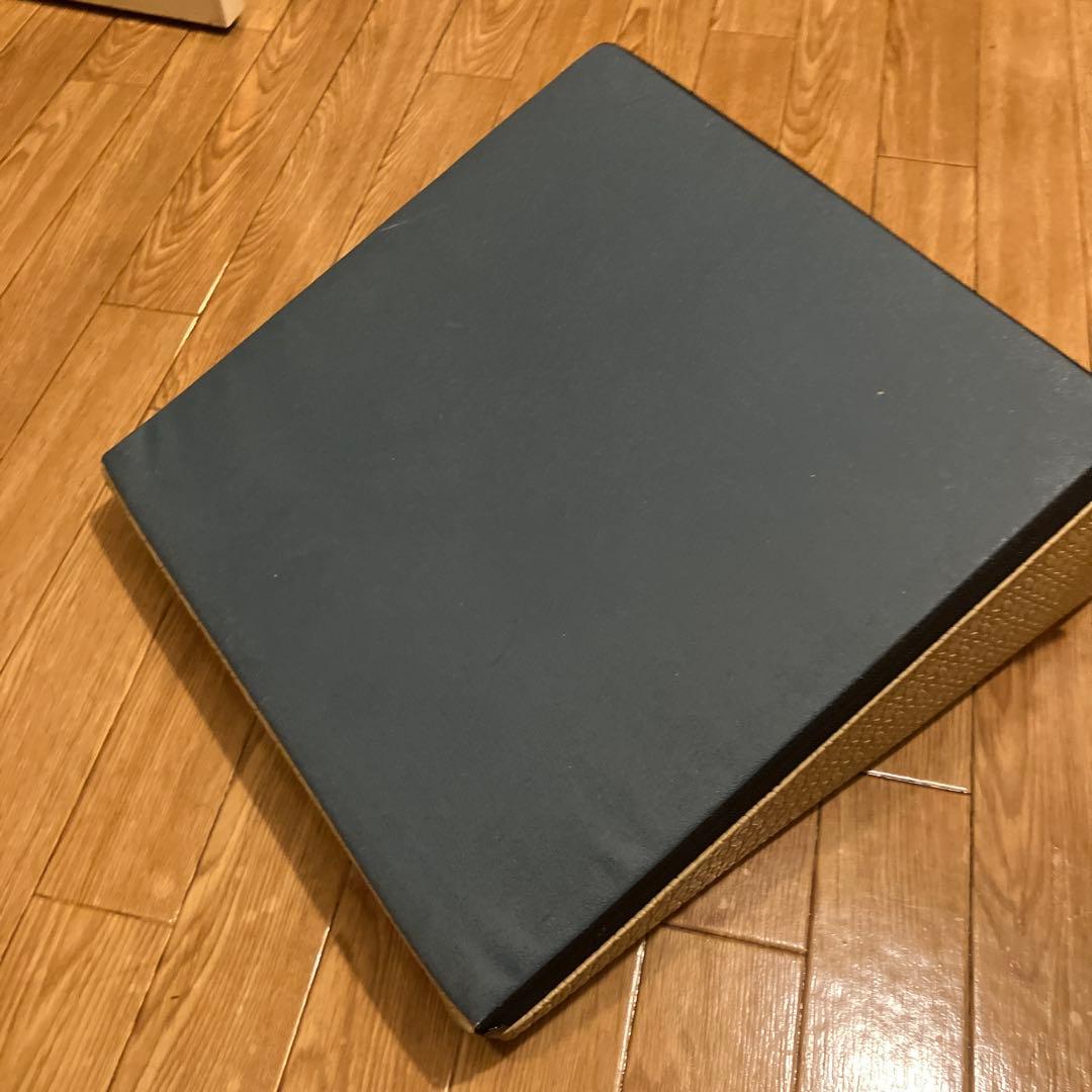 サンテプラス フレックスクッション ベージュ ストレッチ エクササイズ