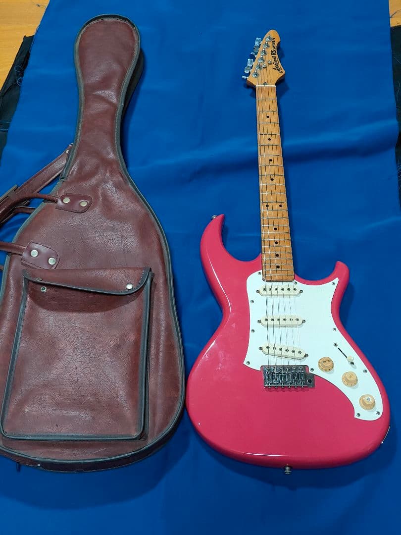 CAHPLINAiroPro RS Special ギター ソフトケース