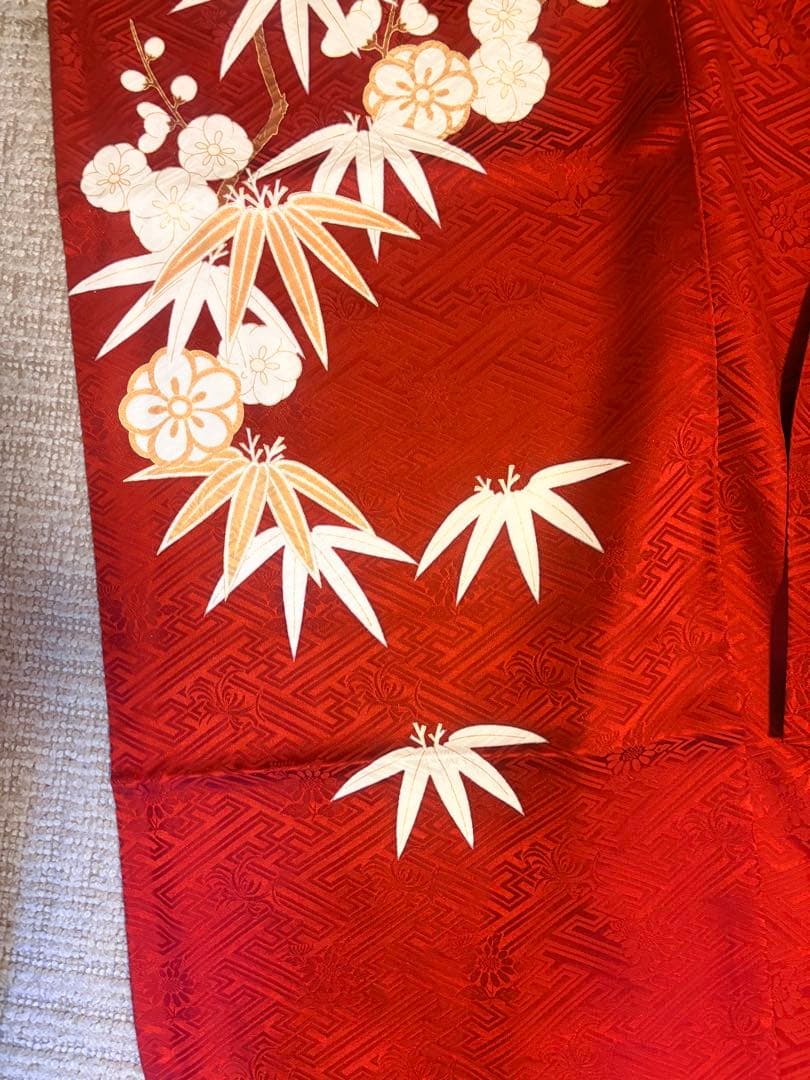 ノ*ー様 【美品/トールサイズ】圧巻の振袖 古典柄 真紅の生地に鞘型の地紋 白い