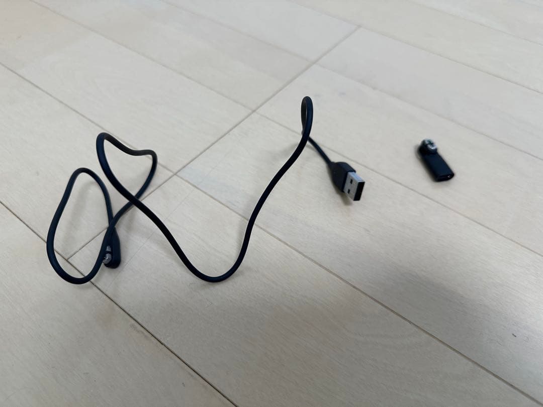 Shokz OpenRun Black USB type-c用充電アダプター付き