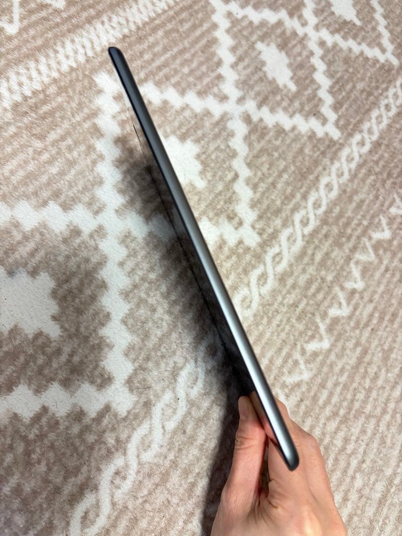 iPadmini5セルラー64GB 常時イヤホンモード（不具合）本体のみ88%