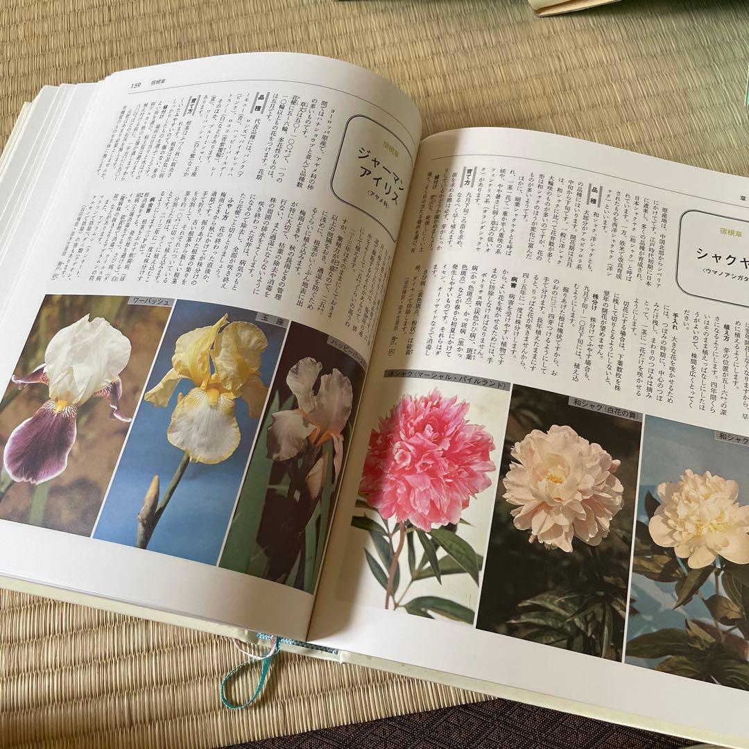 新現代ホーム百科事典 12巻