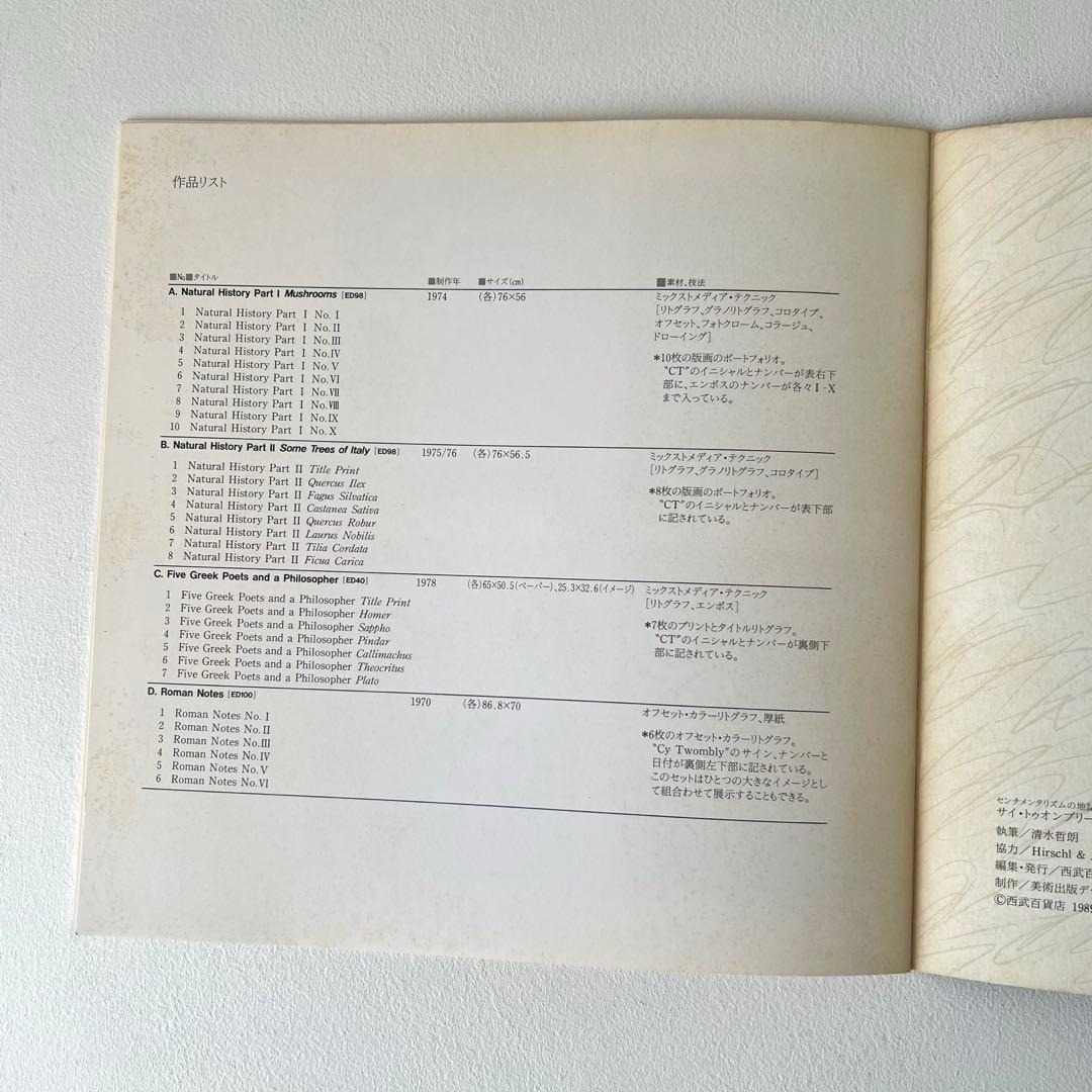 CY TWOMBLY サイ・トゥオンブリ 図録1989