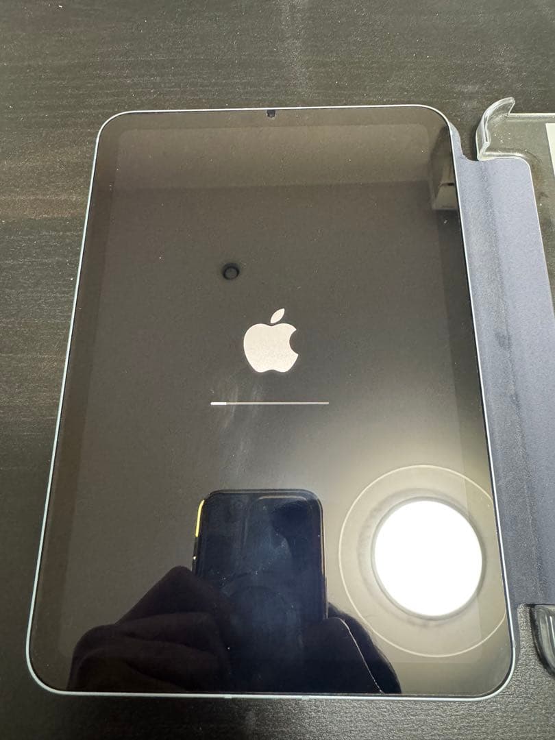 iPad mini (A17Pro) Cellular 256GB 第7世代