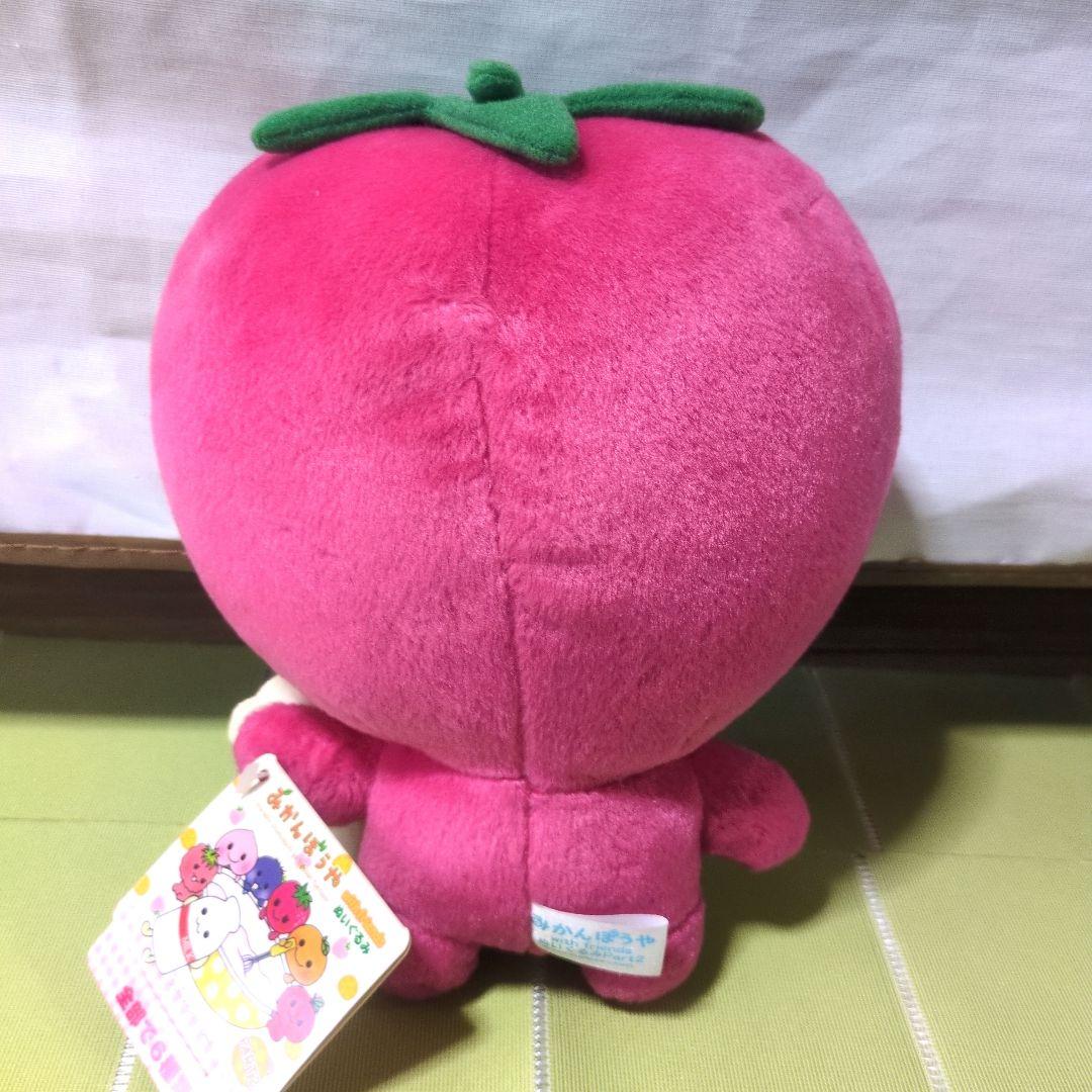 みかんぼうや　イチゴちゃん　クランベリーちゃん　ぬいぐるみ　サンエックス