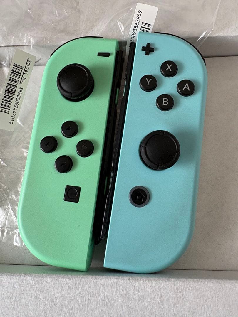 Nintendo Switch あつまれどうぶつの森　本体セット ケース付き