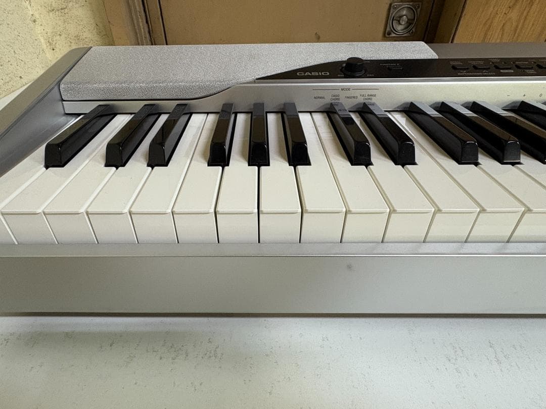 CASIO カシオ デジタルピアノ Privia PX-310 スタンドなし