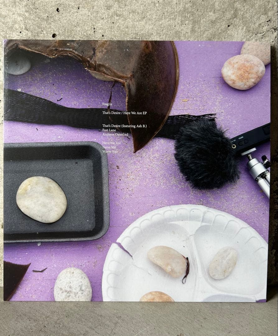未使用品 Wolfgang Tillmans レコード 5枚セット ティルマンス