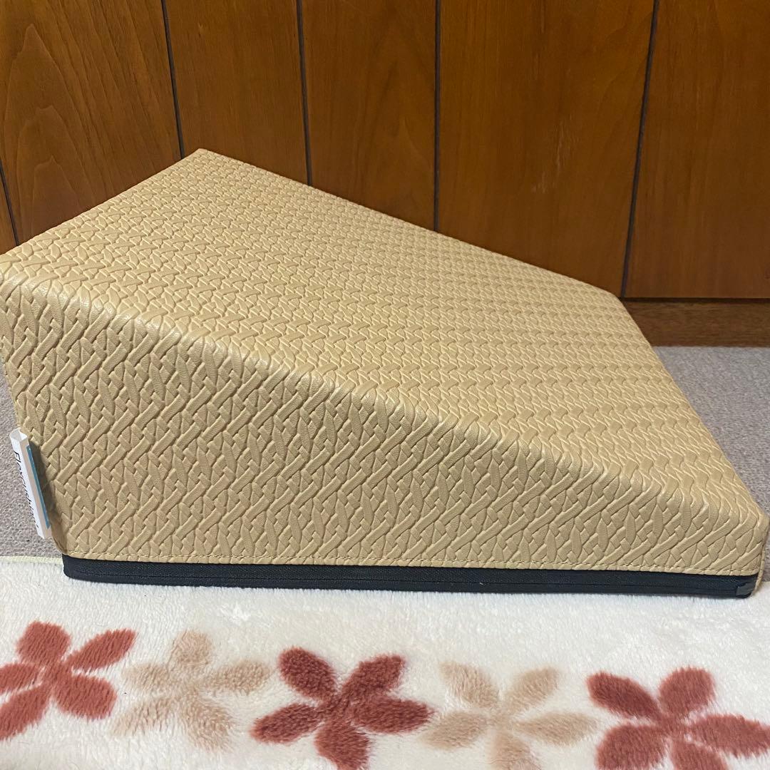 サンテプラス　フレックスクッション 解説DVD付き ストレッチ