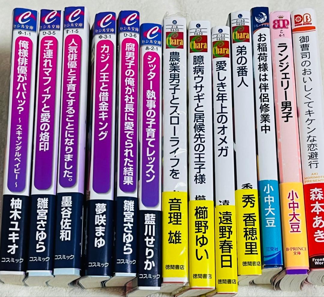 〇BL文庫 13冊 特典有 小中大豆 雛宮さゆら 森本あき 櫛野ゆい 遠野春日