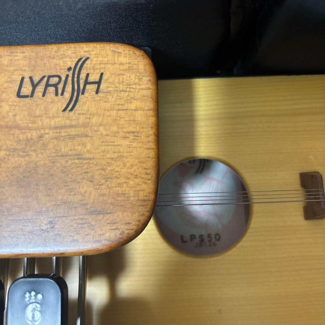 ライリッシュ 大正琴 LPS50 和楽器　専用ソフトケース付き