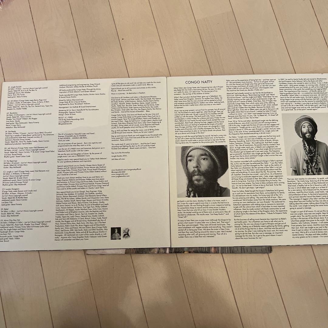 Congo Natty Jungle Revolution レコード