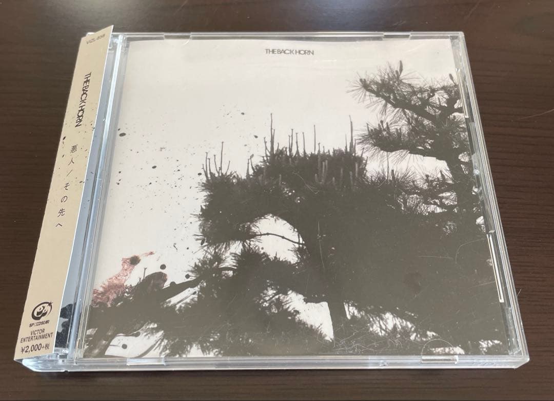 THE BACK HORN CD 14枚 初回限定盤多数 DVD付