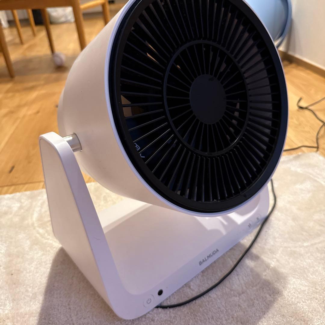 扇風機・サーキュレーター BALMUDA GreenFan C2