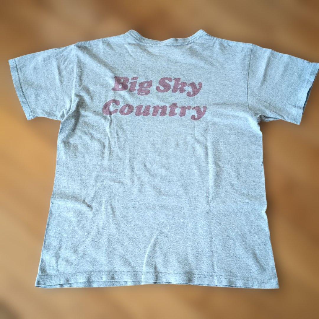 s*y様 フラットヘッド Tシャツ ウエスタンシャツ セット サイズ38