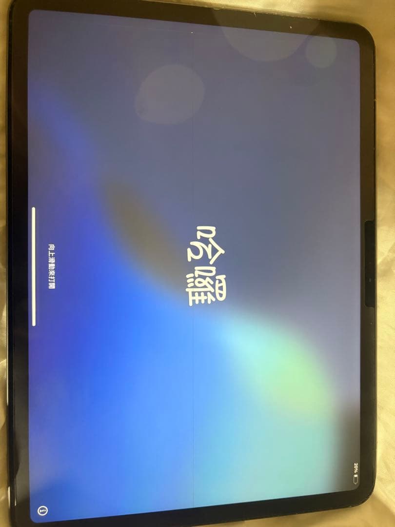 iPad Pro 第2世代256GB 支払い早い方のみ