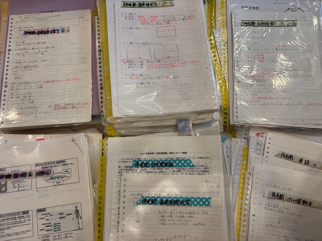 日本大学 理工学部 物質応用科学科 3年生までのノート・過去問