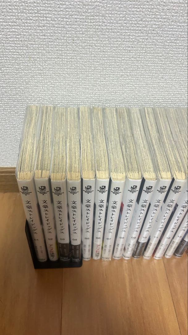文豪ストレイドッグス 漫画セット 25巻