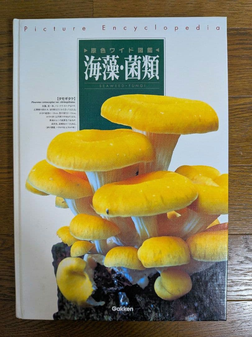 学研　原色ワイド図鑑　全20巻+総索引