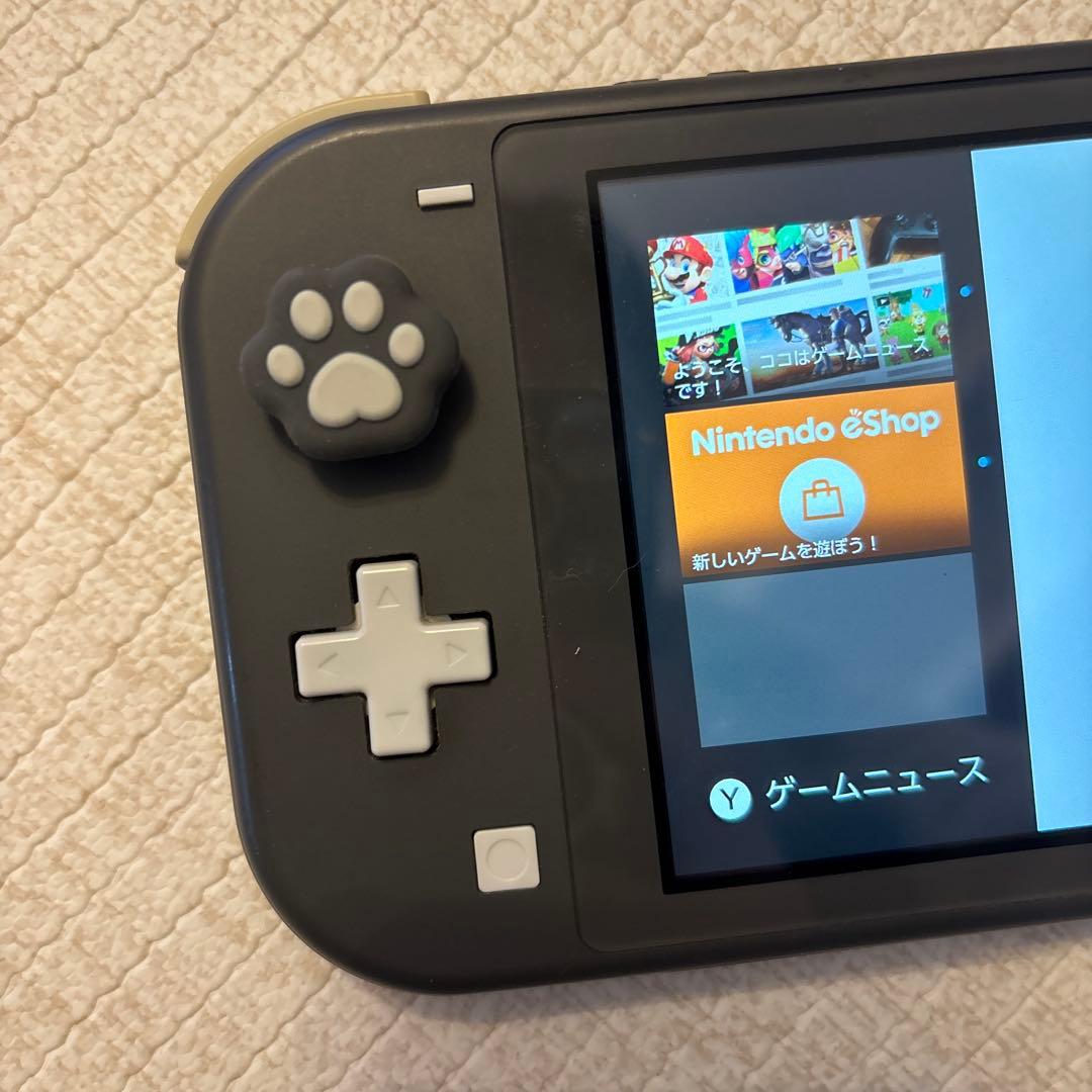 Nintendo Switch Lite グレー 充電器・イヤフォン付き