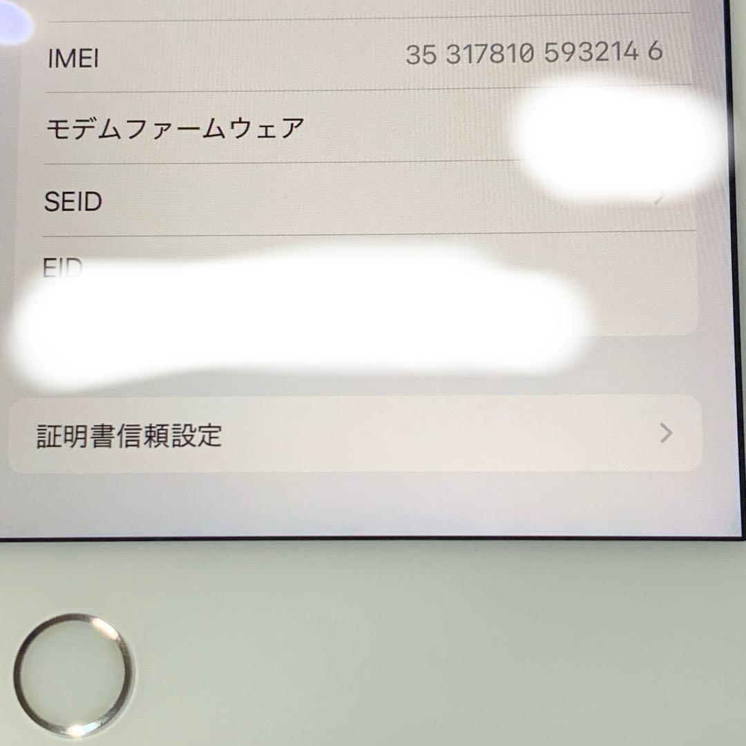 iPad mini5 第5世代 256GB セルラー SIMフリー シルバー
