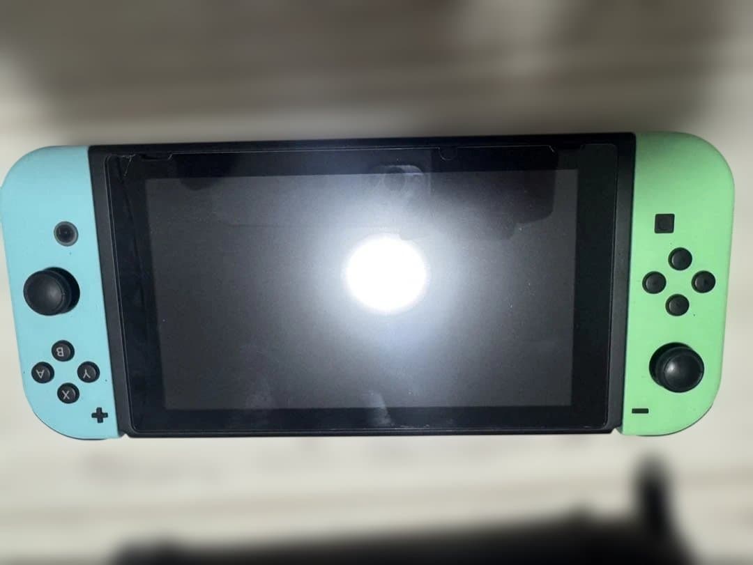 Nintendo Switch あつまれ どうぶつの森　カセット2個付き