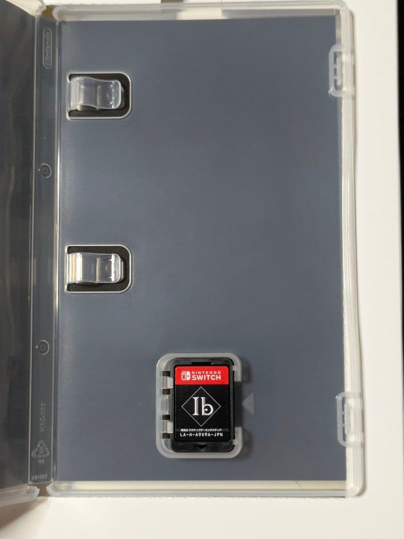 Ib 限定版 Switch