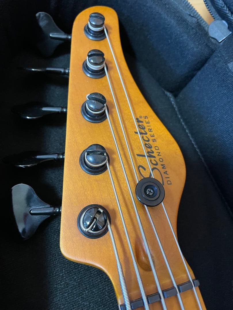 Schecter MODEL-T Session5 5弦ベース