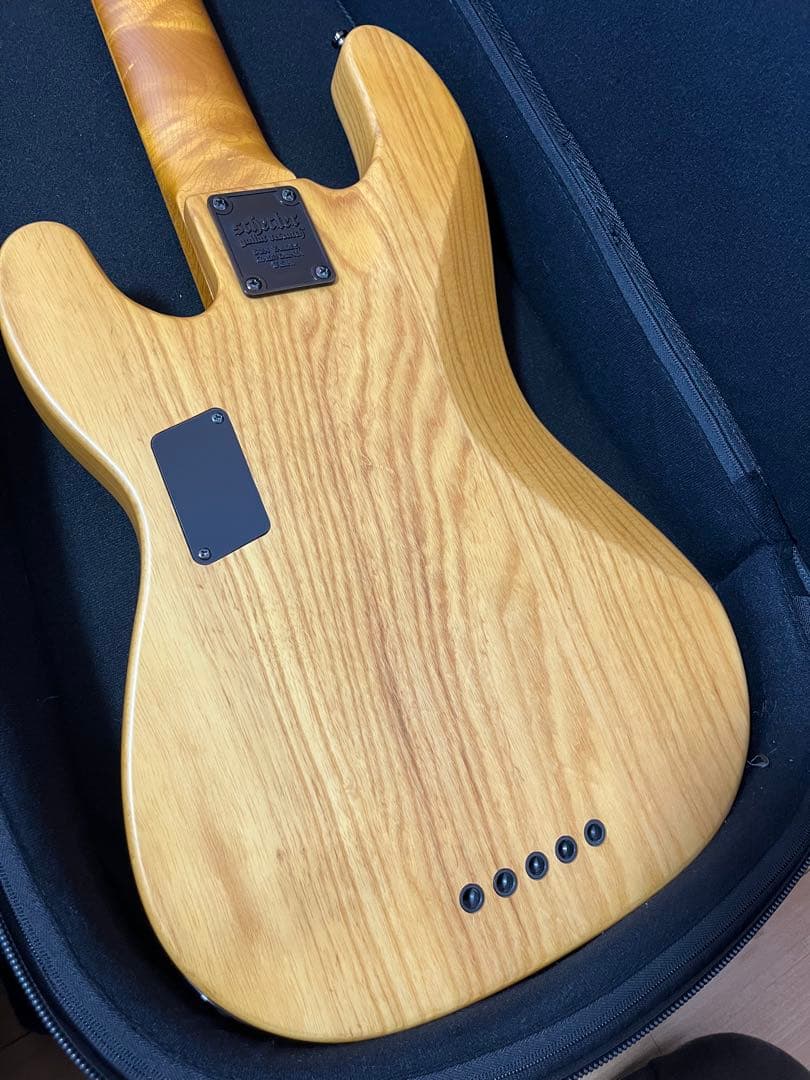 Schecter MODEL-T Session5 5弦ベース
