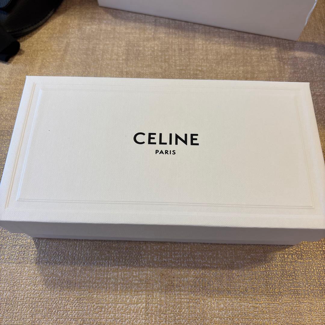Céline CL40218U べっ甲柄 (付属品全てあり)
