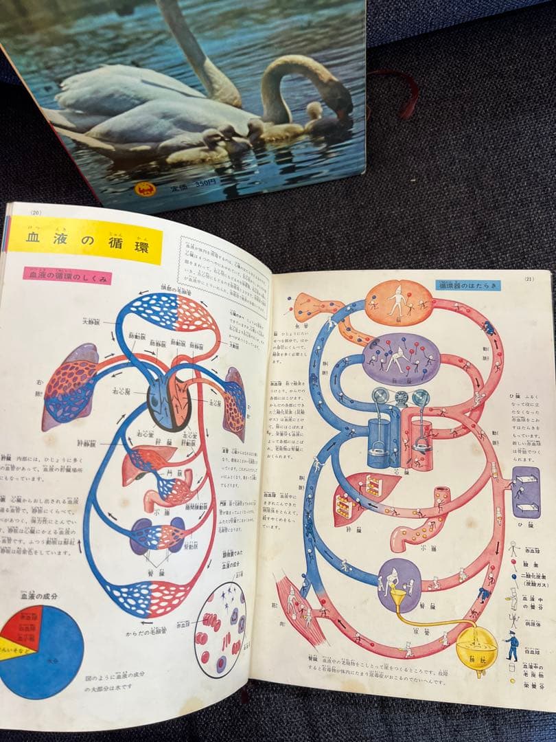 学習図鑑シリーズ5冊 昆虫 動物 鳥類 魚貝 保健と人体 1960年　本　絵本