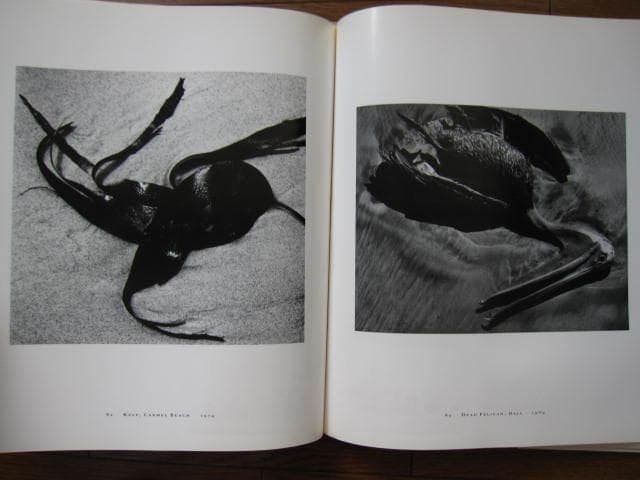 Master Photographer　Brett Weston