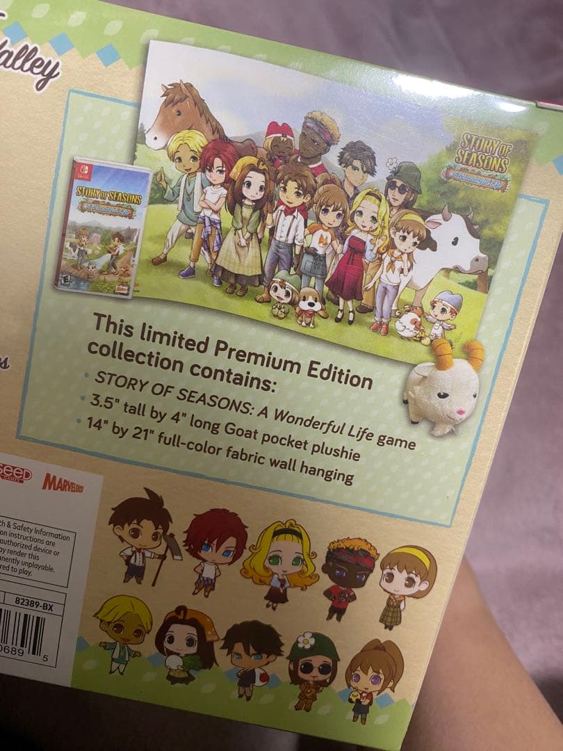 Nintendo Switch STORY OF SEASONS: A Wonderful Life