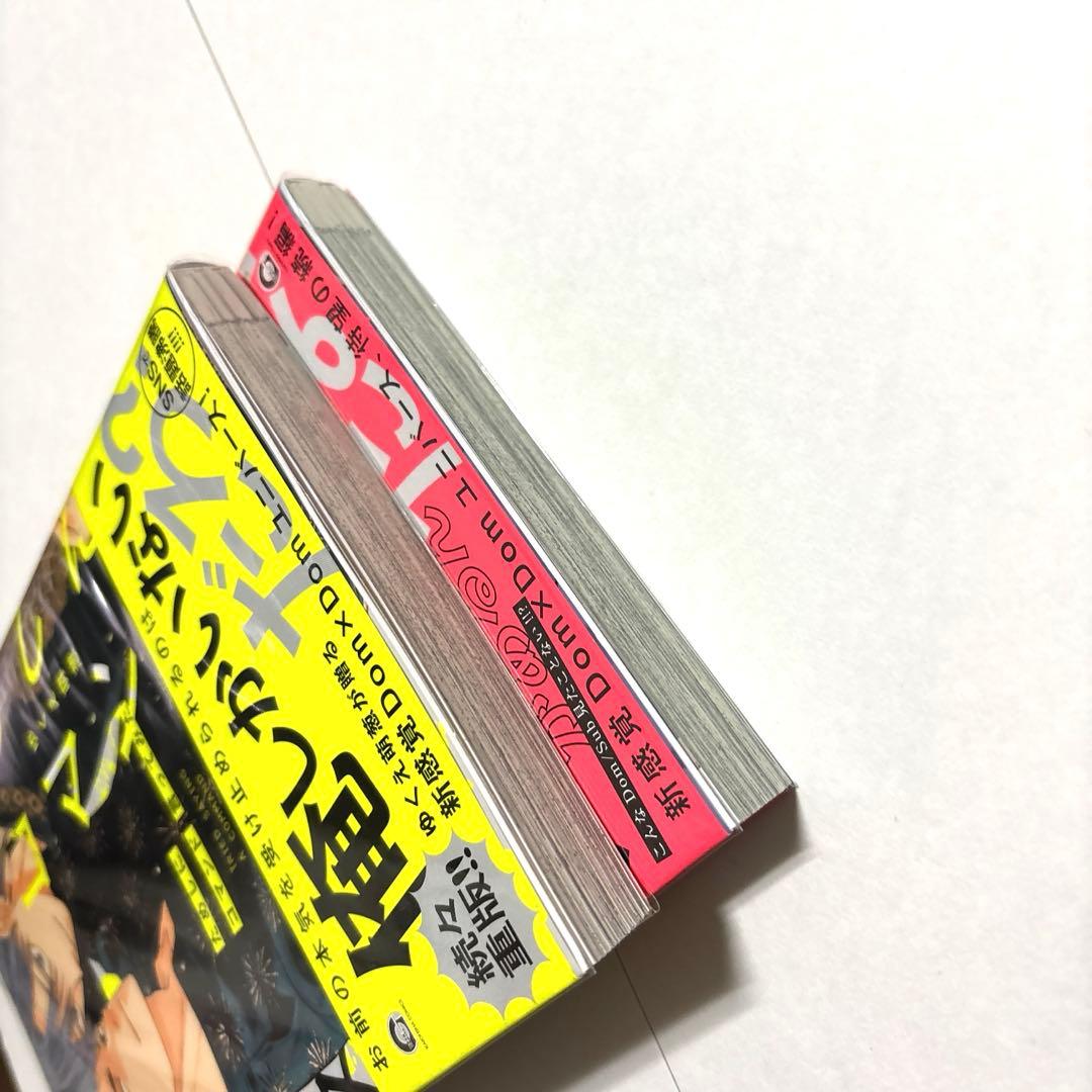 10点セット ためしにコマンド言ってみた ゆくえ萌葱