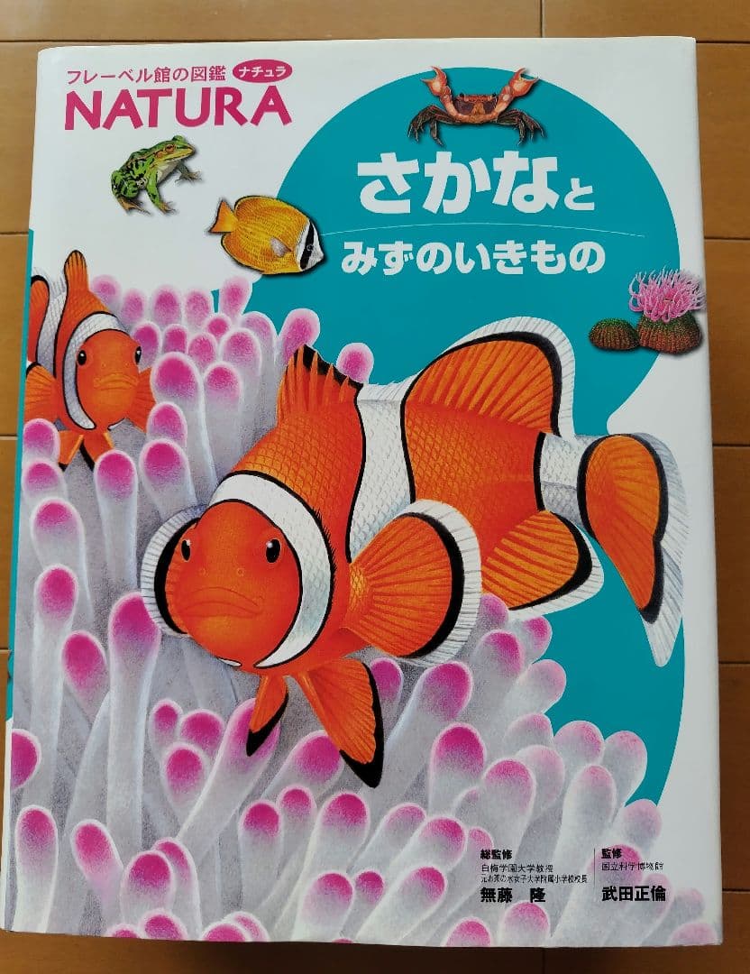 【さらに値下げ】フレーベル館の図鑑　MATURA ５冊セット 美品