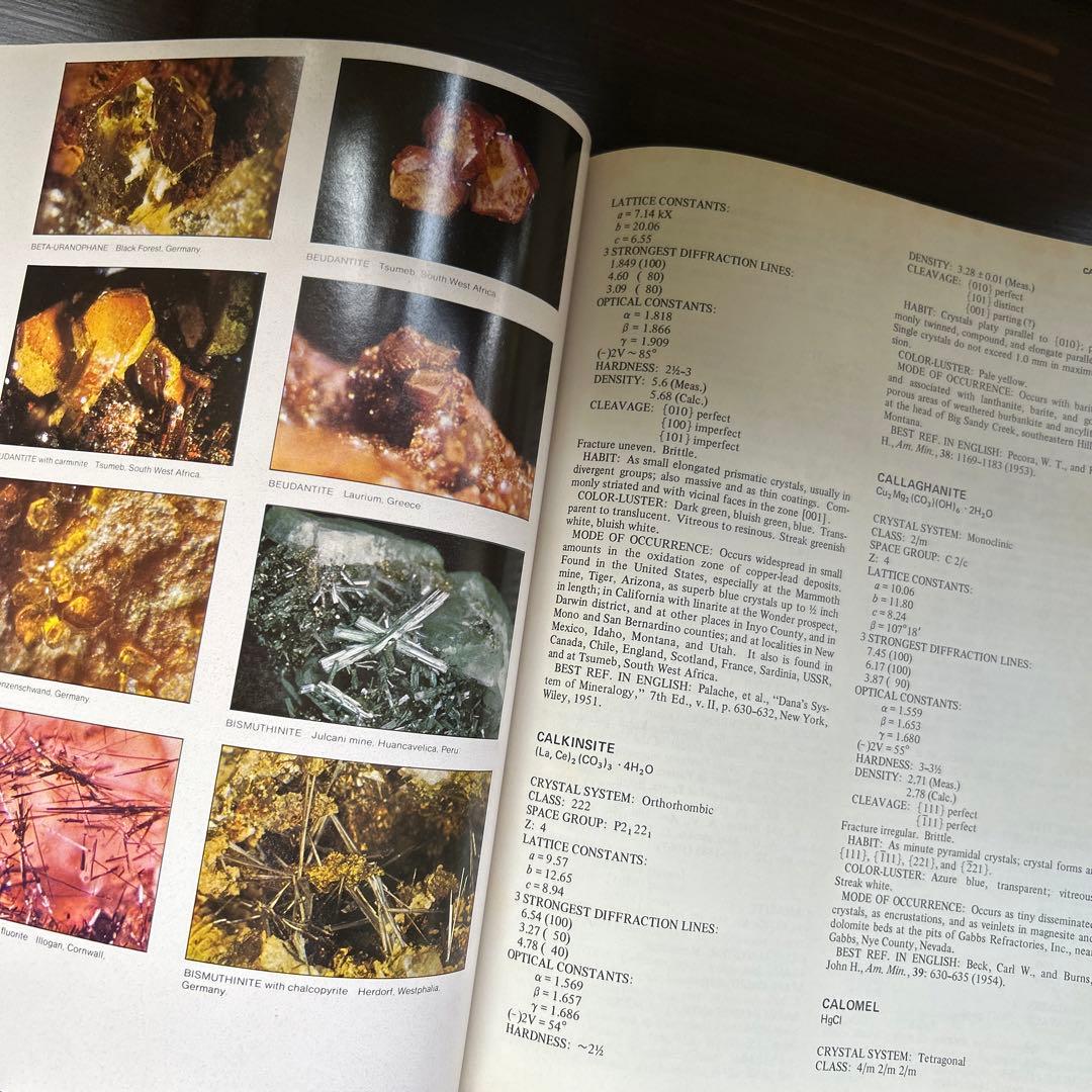 洋書 encylopedia of minerals