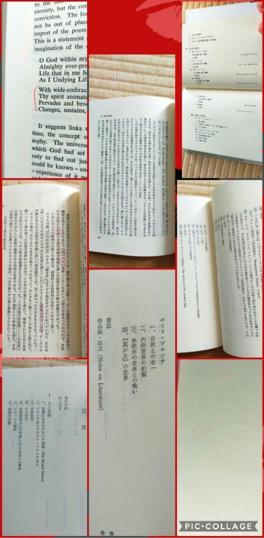 ★　希少価値・絶版本　文学的観点から読み解くエミリ・ブロンテと嵐が丘