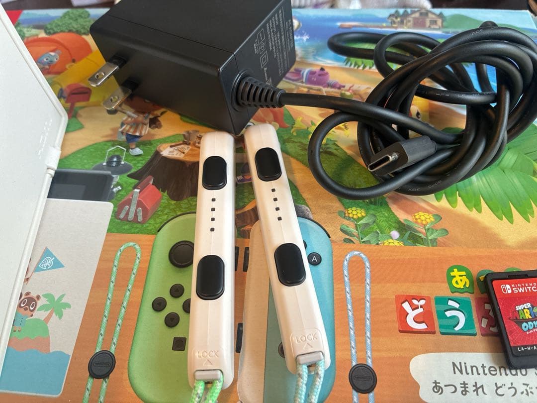 【おまけ付】Nintendo Switch あつまれ どうぶつの森 特別デザイン