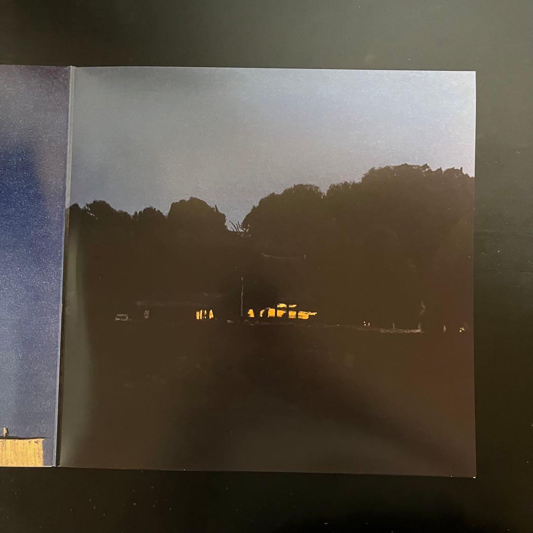 【美品】くるり　天才の愛　レコード　LP アナログ